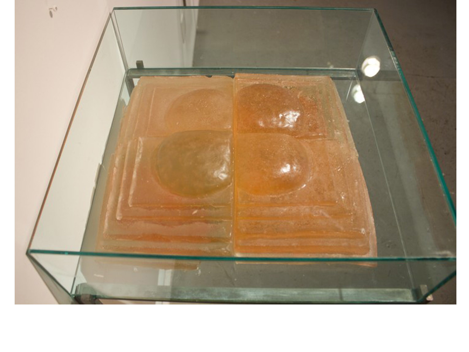 MesmerNY31