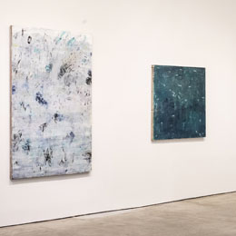 In theDarkness I See Exhibit